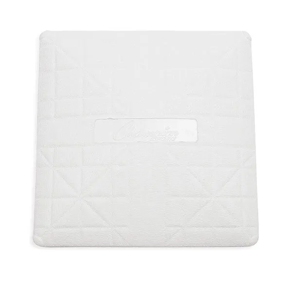 Pro Baseball Anchor Bases